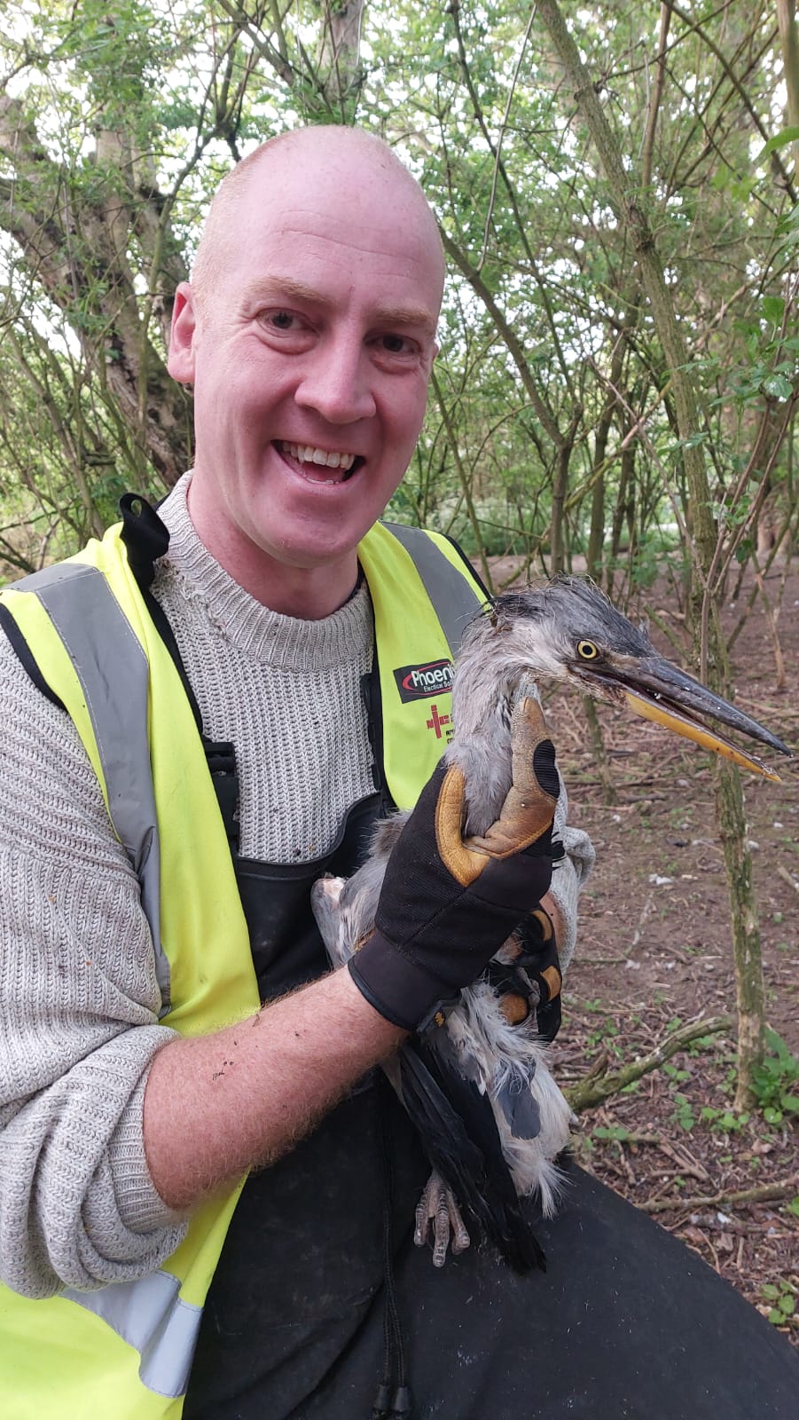 Nesting bird checks
