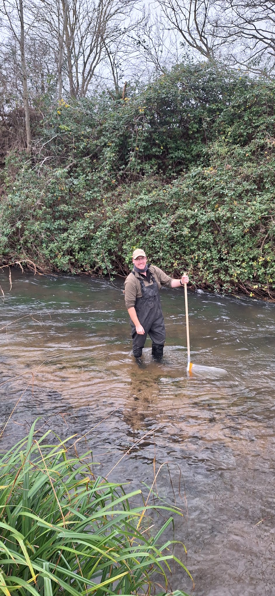 Signal crayfish management